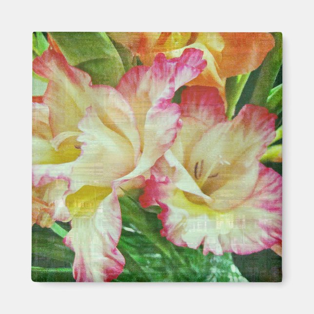 Texturerad Gladiola Magnet (Framsidan)