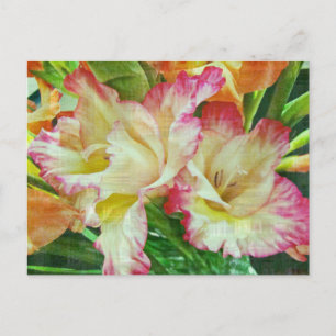 Texturerad Gladiola Vykort