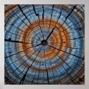 Texturerad trägrain - Konstnärlig närhet Träd Ring Poster