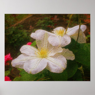 Texturerad vit Clematis Pair Blommigt Art Skriv ut Poster