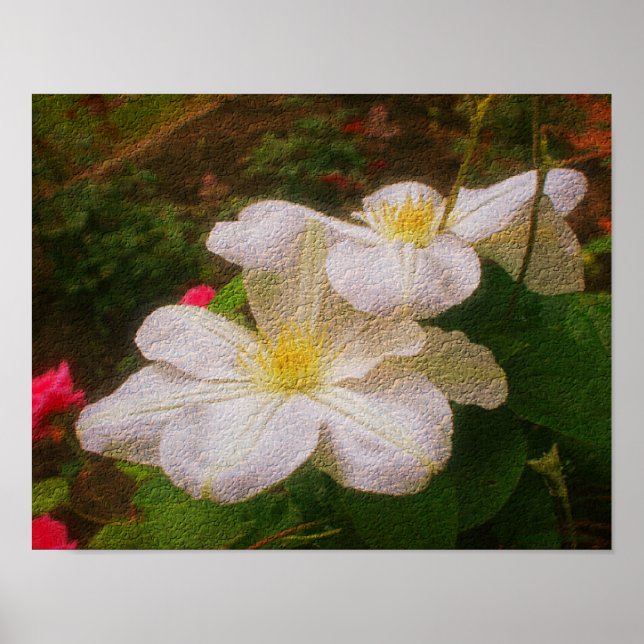 Texturerad vit Clematis Pair Blommigt Art Skriv ut Poster (Framsidan)