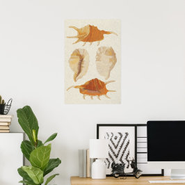 Texturerade seashceller poster