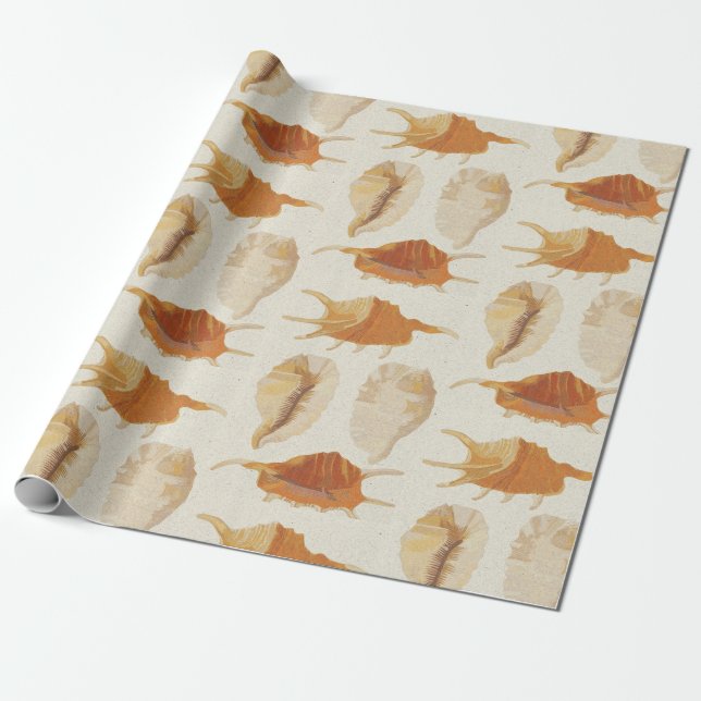 Texturerade seashceller presentpapper (Utrullad)