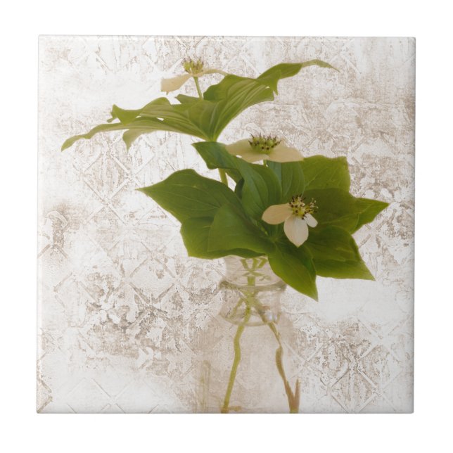 Texturerat Dogwood Bunch Berry i Burk still Life Kakelplatta (Framsidan)