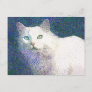 Texturerat vitt vykort för katt