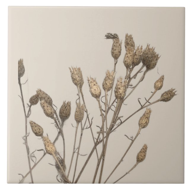 Texturlektioner på vintern på keramiskt plattor -  kakelplatta (Framsidan)