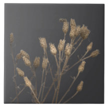 Texturlektioner på vintern på keramiskt plattor -