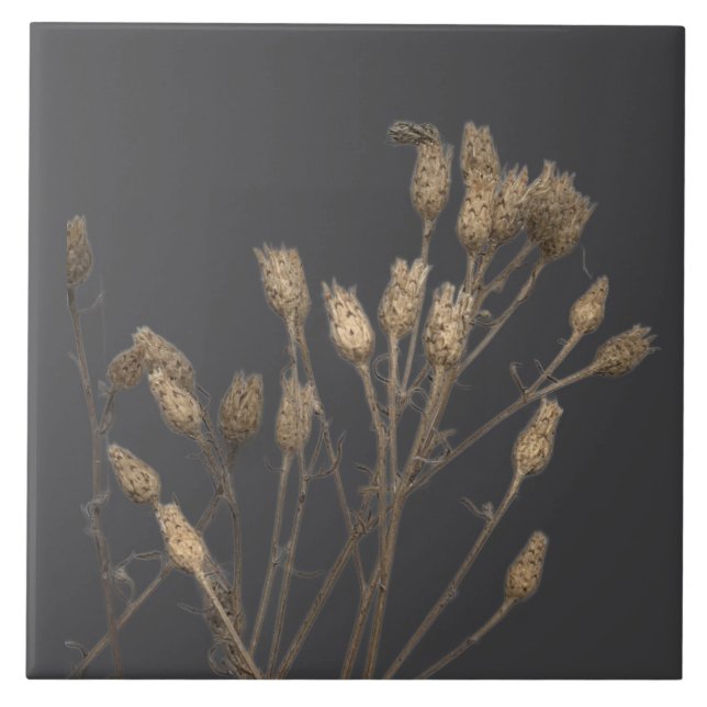 Texturlektioner på vintern på keramiskt plattor -  kakelplatta (Framsidan)