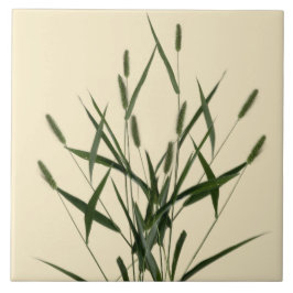 Textursalternativ från sommaren på en keramik - A Kakelplatta