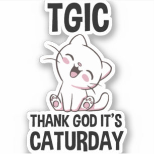 TGIC Gudskelov Det är Caturday Klistermärken