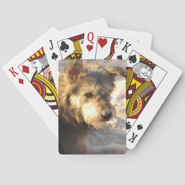Thai Beach Hund Casinokort (Baksidan)