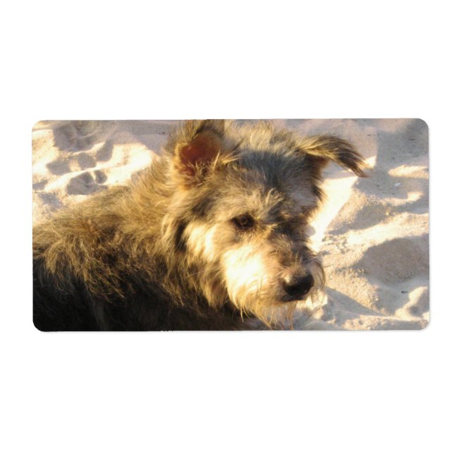 Thai Beach Hund Fraktsedel (Framsidan)