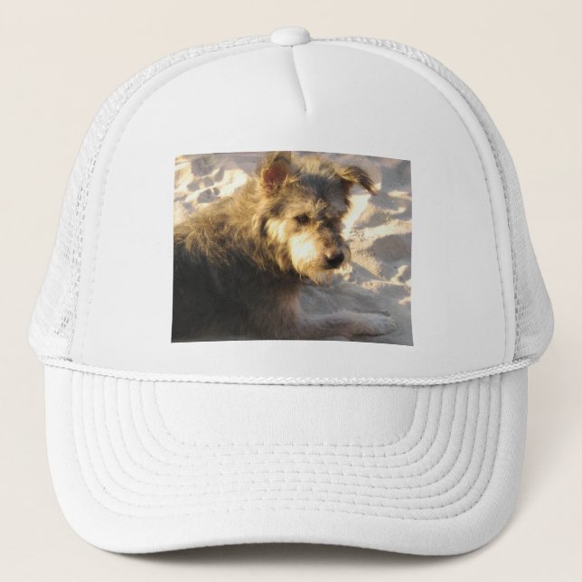 Thai Beach Hund Keps (Framsida)