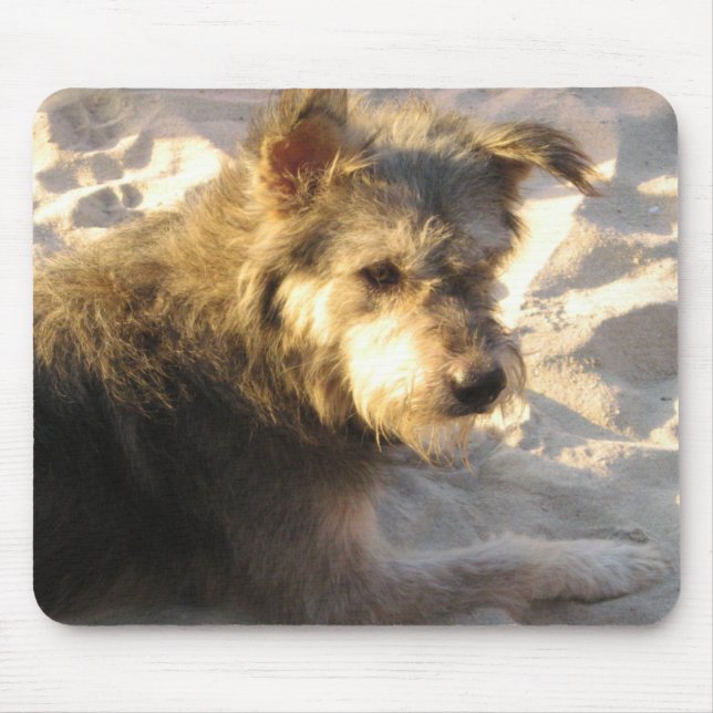 Thai Beach Hund Musmatta (Framsidan)