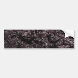 Thai Lao Black Sticky Ris [Khao Niao Dam] Bildekal