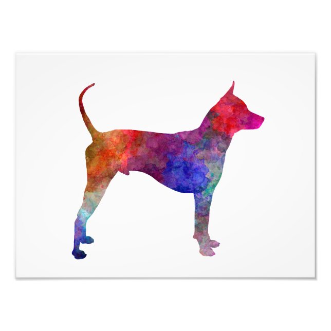Thai Ridgeback Dog in watercolor Fototryck (Framsidan)