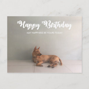 Thai Ridgeback Hund Grattis på födelsedagen vykort