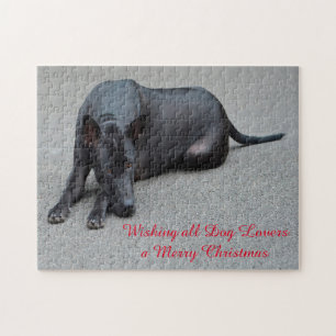 Thai Ridgeback Hundar Pussel. Pussel
