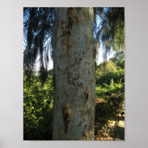 Thai Träd Graffiti Poster