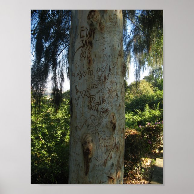 Thai Träd Graffiti Poster (Framsidan)