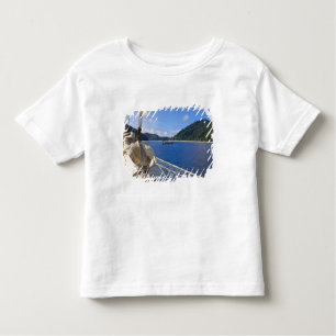 Thailand, Andaman Sea. Stjärnklippare, frakt T-shirt