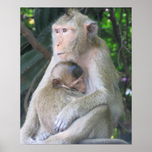Thailand Apa mor och barn kramar Poster
