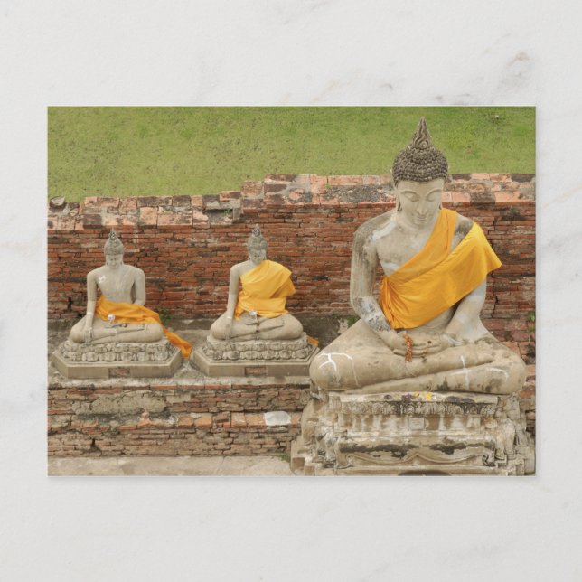 Thailand, Ayutthaya. Statyer av sittande buddhor Vykort (Framsida)