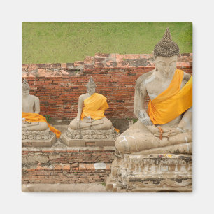 Thailand, Ayutthaya. Statyer av sittande buddor Magnet