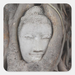 Thailand Chef för Buddha omringad av träd Fyrkantigt Klistermärke