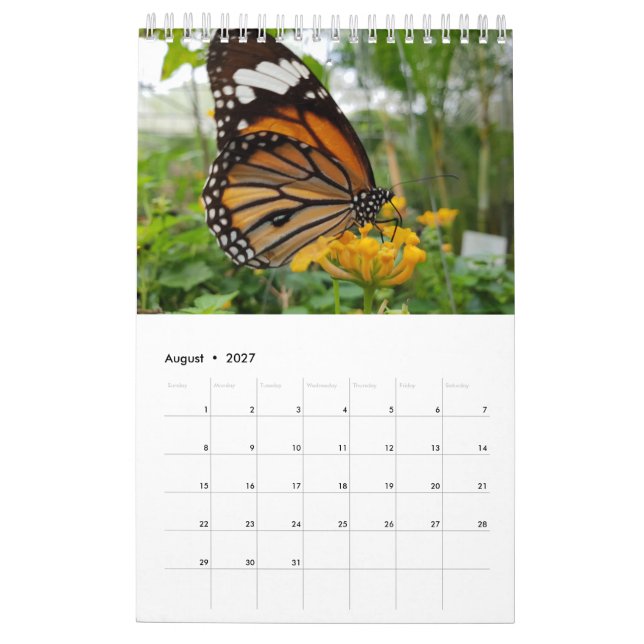 Thailand fjärilar kalender (Aug 2027)