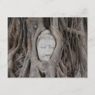Thailand huvud av Buddha omgiven av träd Vykort