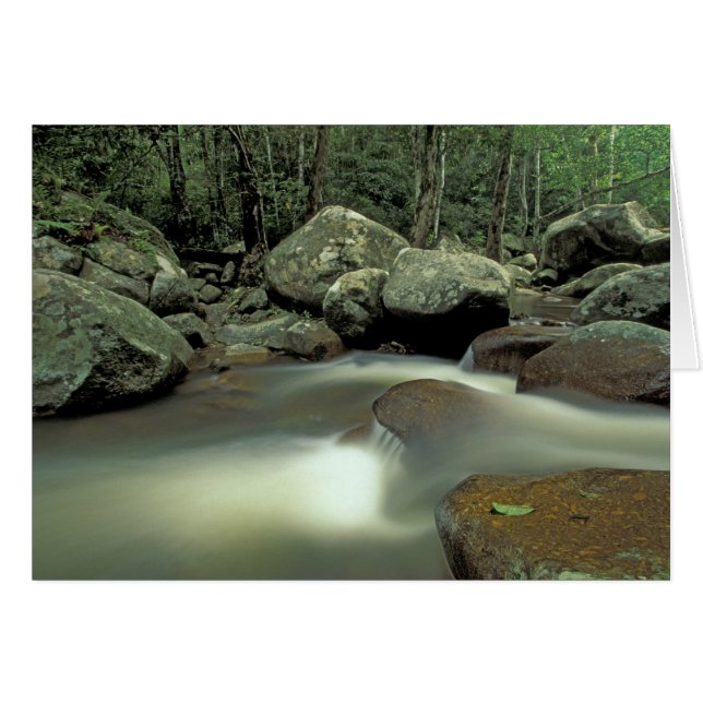 Thailand, Kohsamui-ön, regnskogslandskap. Hälsningskort (Framsidan Horizontal)