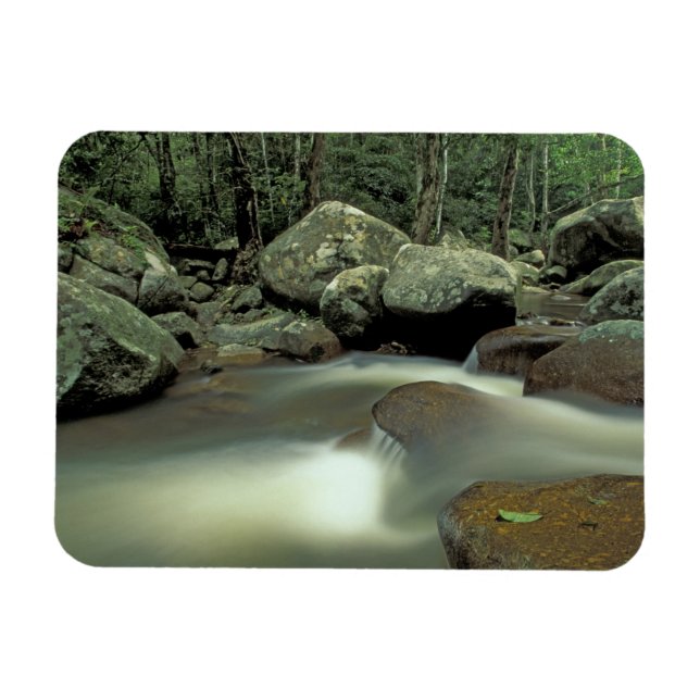 Thailand, Kohsamui-ön, regnskogslandskap. Magnet (Horisontell)