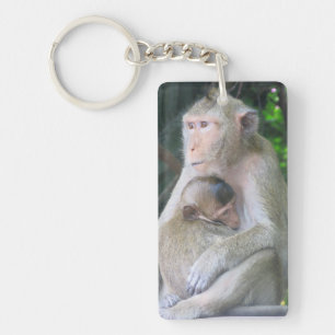 Thailand Monkey Mor och Child Hug