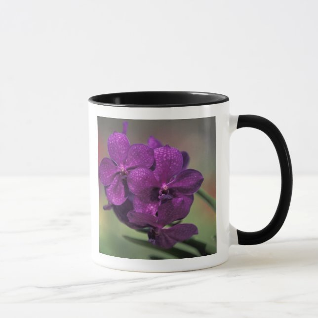 Thailand, norra Thailand, nära Chang Mai, Mae Mugg (Höger)
