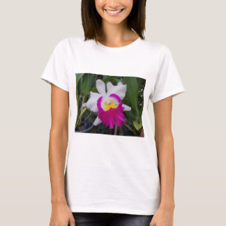 Thailand Orchidblommor T Shirt