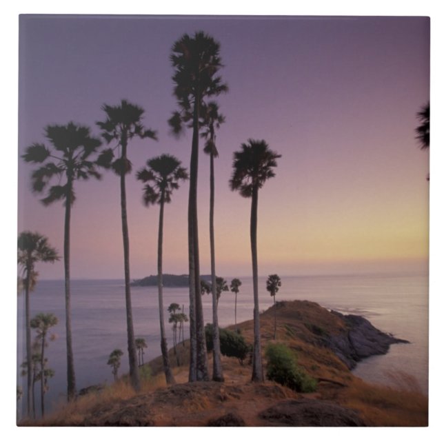 Thailand, Phuket Island. Kakelplatta (Framsidan)