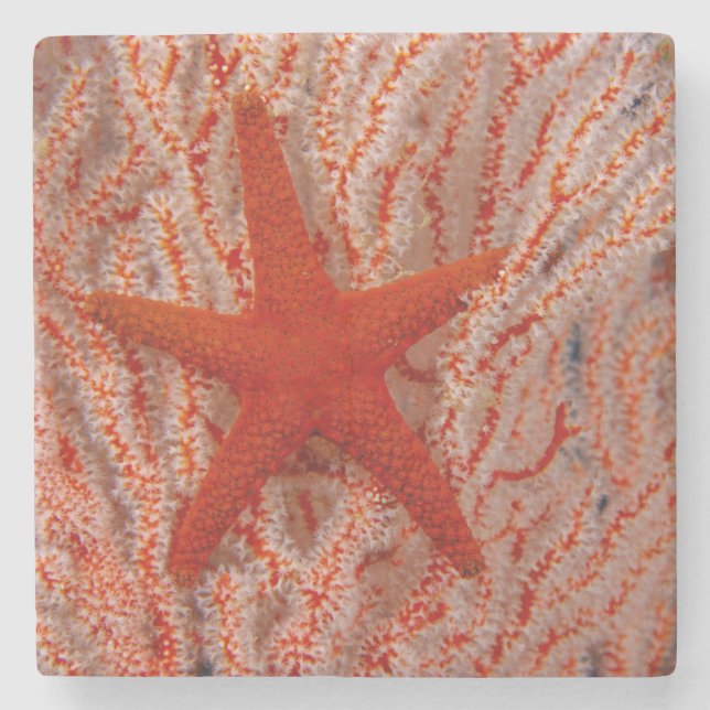 Thailand, Sea Star Aka Starfish Stenunderlägg (Framsidan)