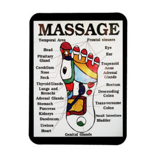 Thailändsk karta för Reflexology för fotmassage Magnet