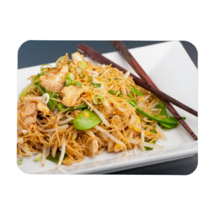 Thailändsk småfisk för Lo Mein nudeluppståndel Magnet