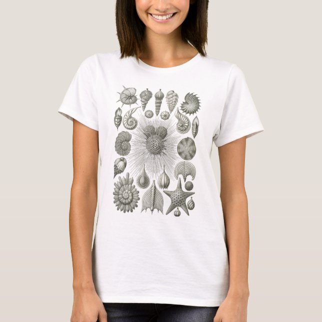 Thalamophora Tee Shirt (Framsida)