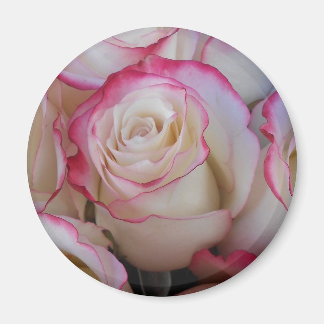 Thamar Magnet (Framsidan)