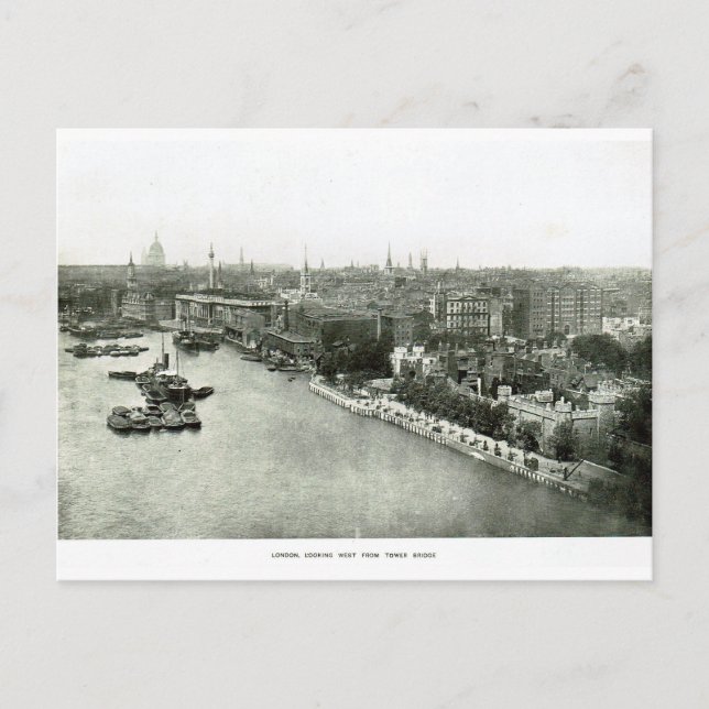 Thames från Torn Bridge 1900 Vykort (Framsida)