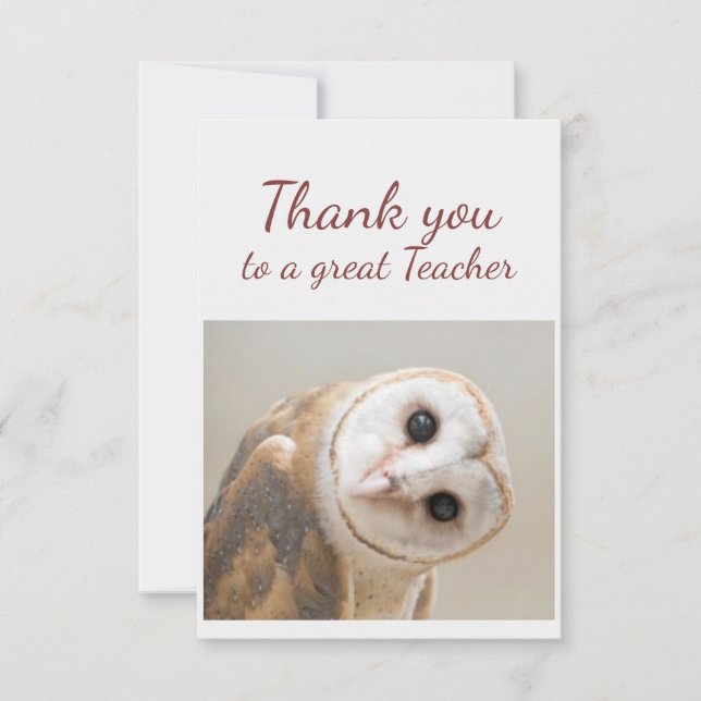  Thank You Fun Curious Barn Owl Bird Teacher Tack Kort (Framsida)