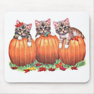 Thanksgiving är Cats Meow Musmatta