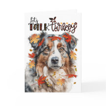 Thanksgiving Australian shepherd Hund tala Turkiet