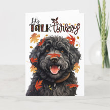 Thanksgiving Barbet Hund Låt oss Prata med Turkiet