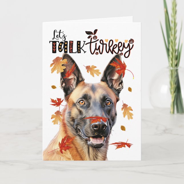 Thanksgiving Belgiska Malinois Hund Lets Talk Turk Helgkort (Framsida)