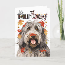 Thanksgiving Bergamasco Hund Låt oss Prata Turkiet