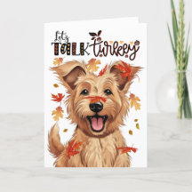 Thanksgiving Berger Picard Hund Lets Prata med Tur
